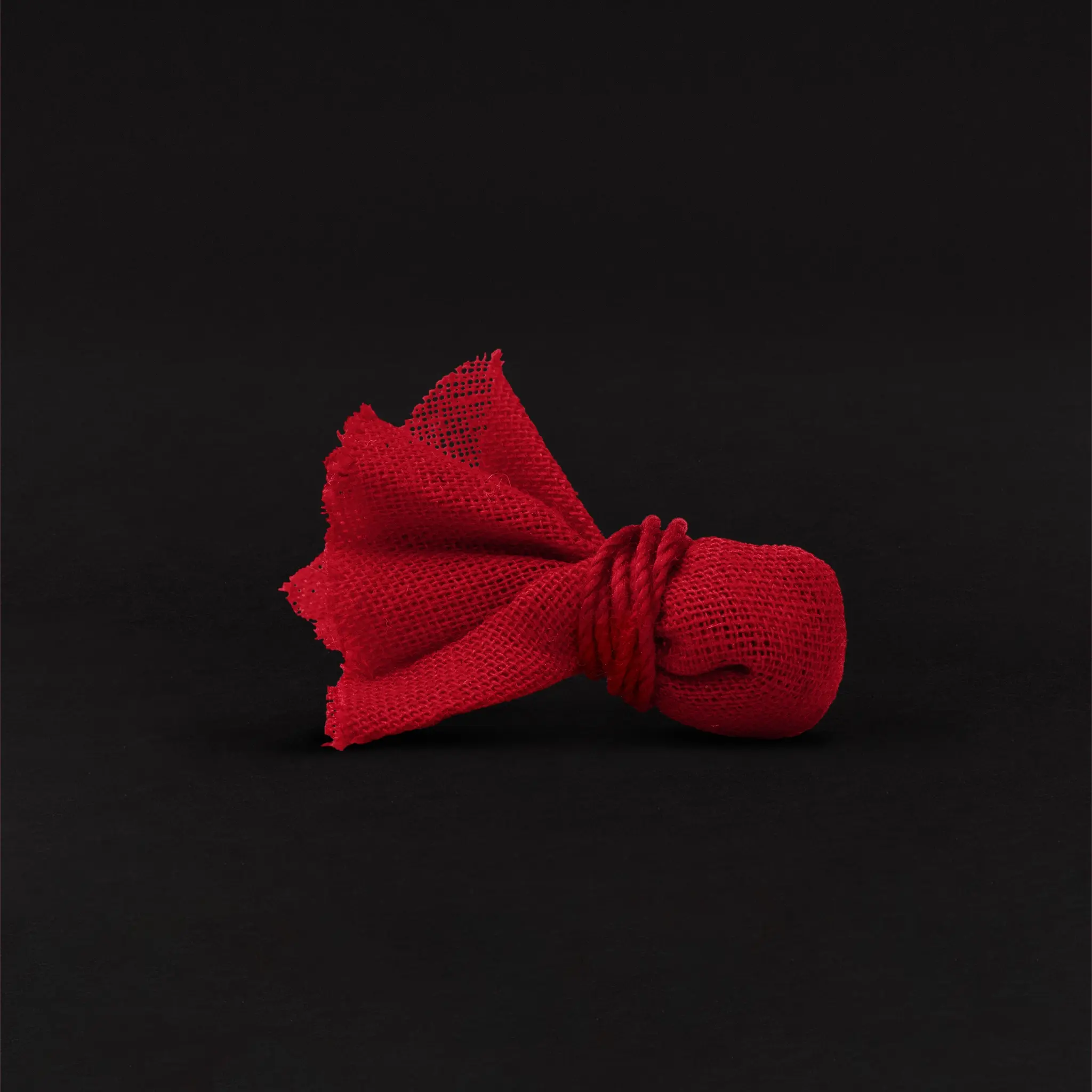 All-Natural Steve-O Voodoo Doll - Image 4